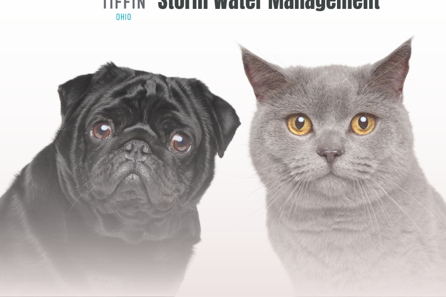 Image showing a black dog and grey cat with the City of Tiffin, Ohio logo and the words "City of Tiffin Storm Water Management