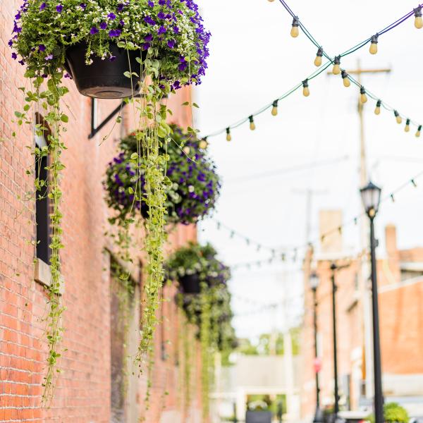 This photo of Cherry Alley shows planters and lights that were installed after it was redeveloped. Similar improvements are planned on Court Street in Tiffin.