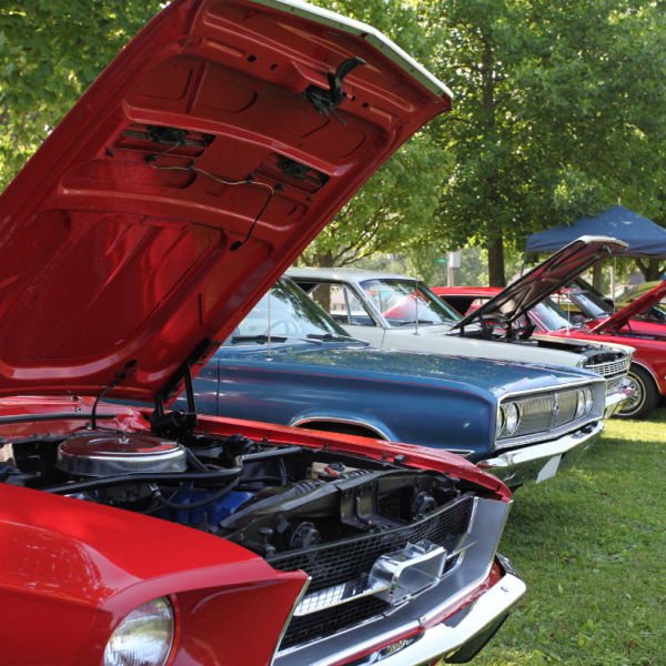 Cars line up side by side with hoods open to show motors